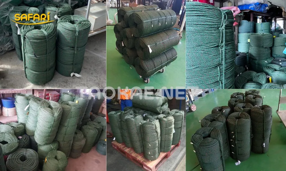 เชือกในล่อน