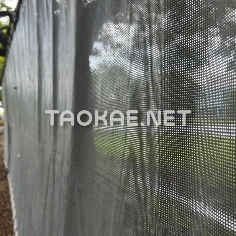 ประโยชน์และวิธีการใช้งานของ Mesh Sheet