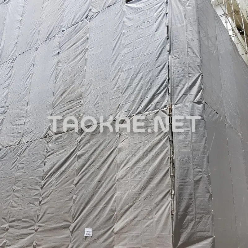 รีวิว Mesh sheet -1