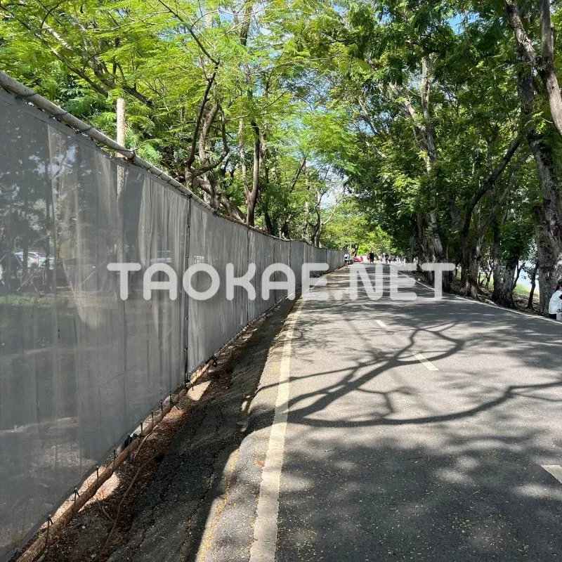 รีวิว Mesh sheet -2