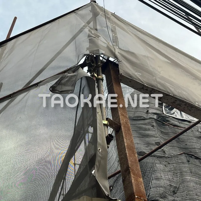 รีวิว Mesh sheet -4