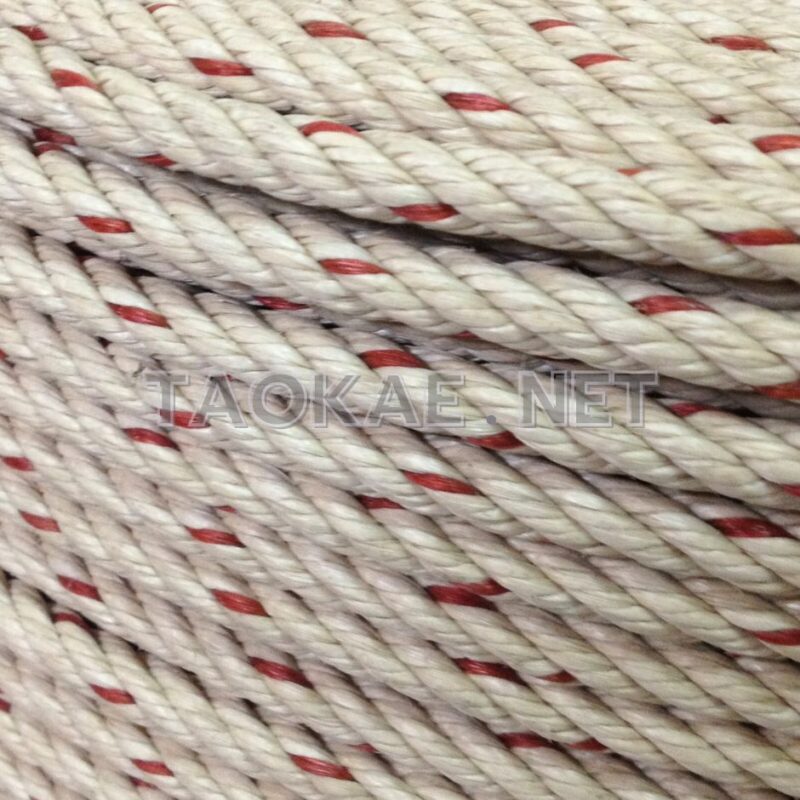 เชือกใยยักษ์