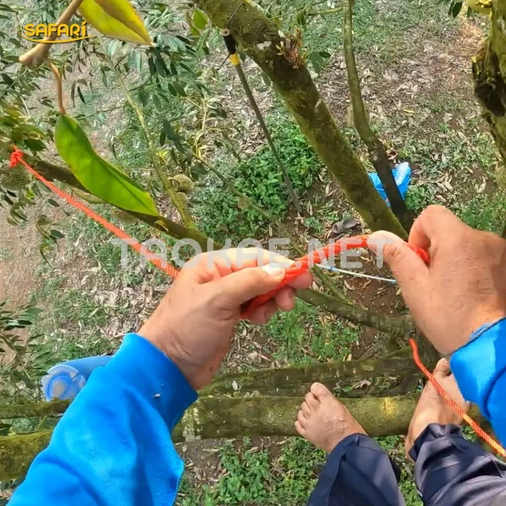 เชือกไนล่อน - ใช้โยงกิ่งทุเรียน