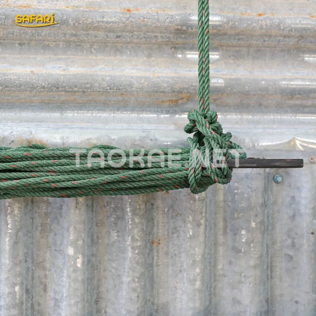 เชือกไนล่อน