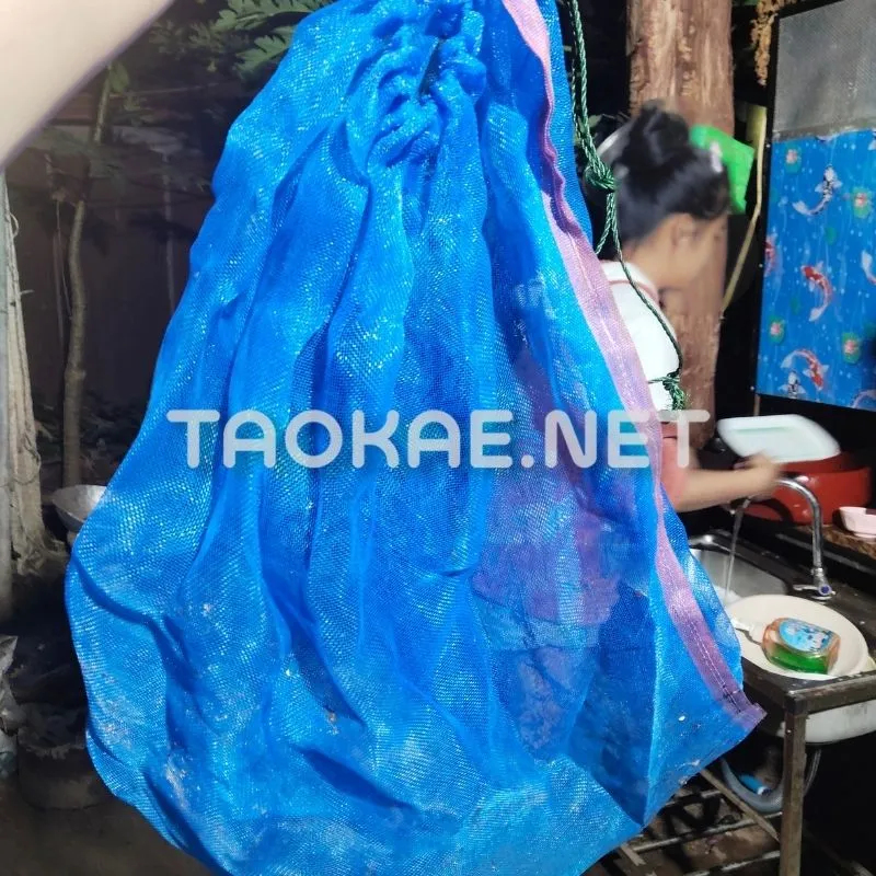 รีวิวมุ้งไนล่อนฟ้า-3