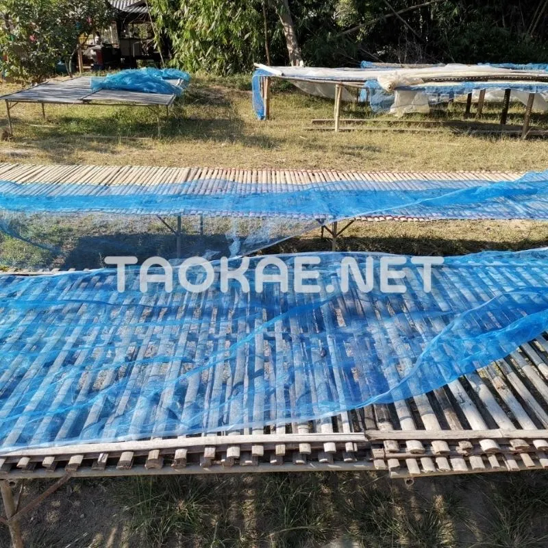 การประยุกต์ใช้งานมุ้งไนล่อนฟ้า-2