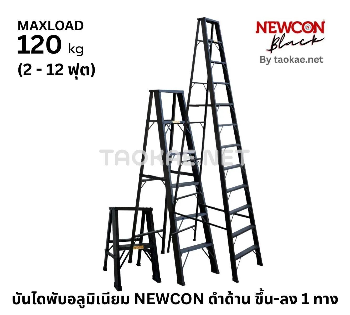 บันไดพับอลูมิเนียม NEWCON ดำด้าน ขึ้น-ลง 1 ทาง
