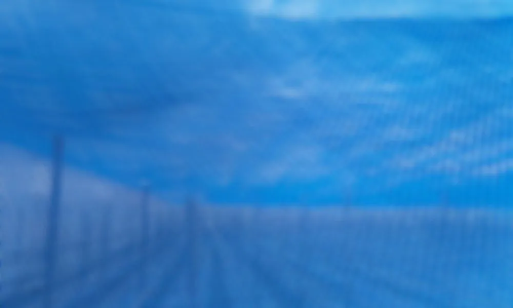 มุ้งไนล่อนฟ้า