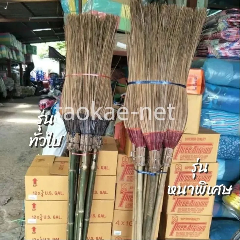 ความแตกต่างระหว่างรุ่นทั่วไป - รุ่นหนา