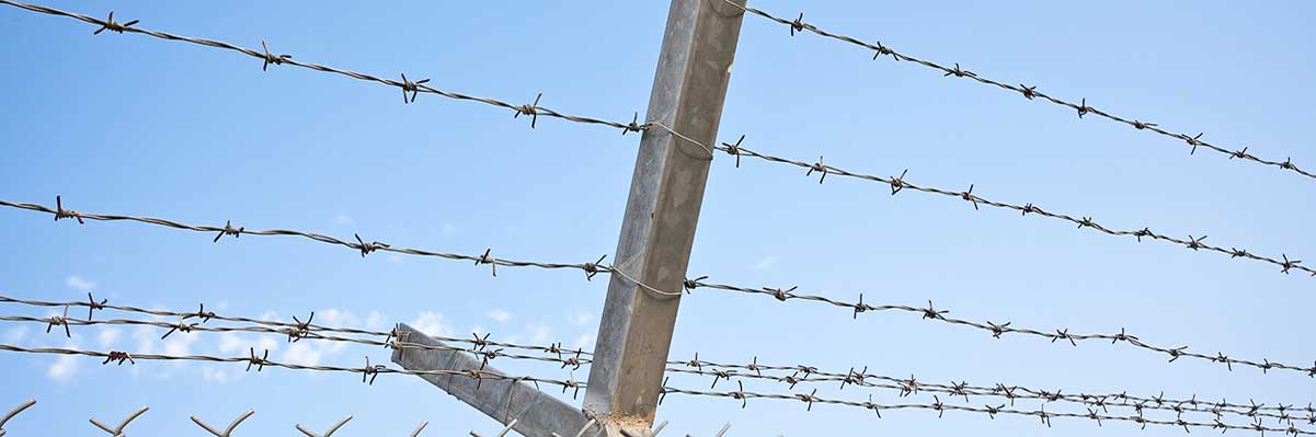 ลวดหนาม