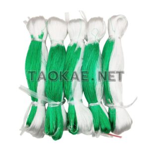 อวนค้างแตง