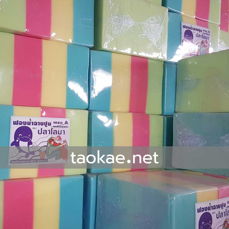 ฟองน้ำฉาบปูน