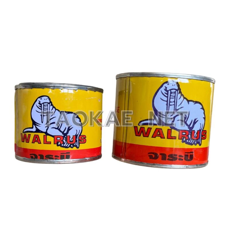 จารบี-walrus