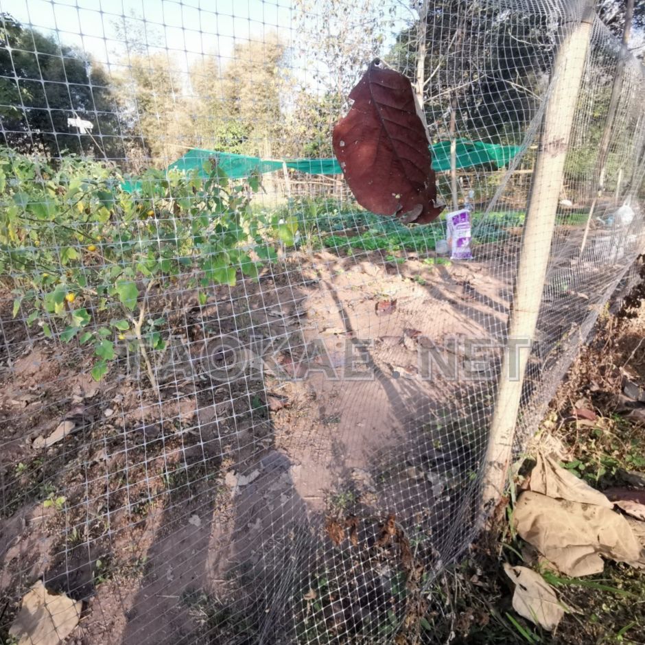 ตาข่ายกันนก-ใช้กั้นคอกเป็ด เล้าไก่