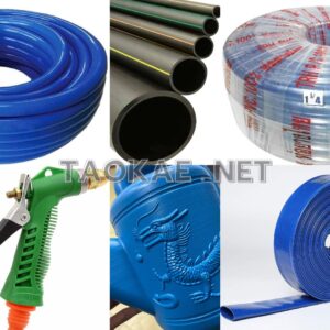 ลำเลียงน้ำ