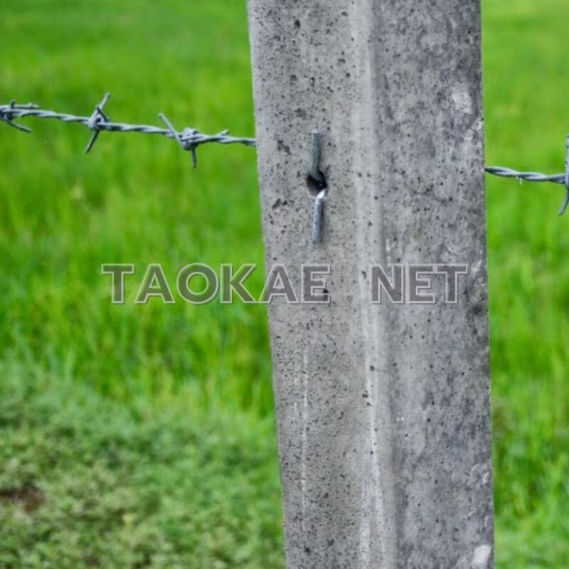 กิ๊บลวดหนาม-3