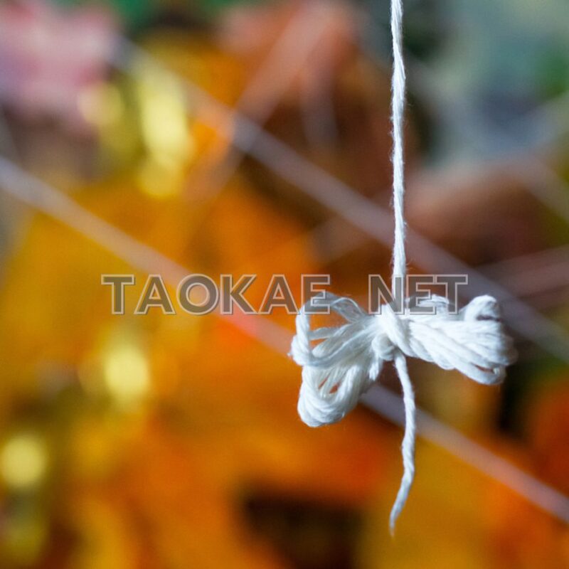 ด้ายสายสิญจน์-5