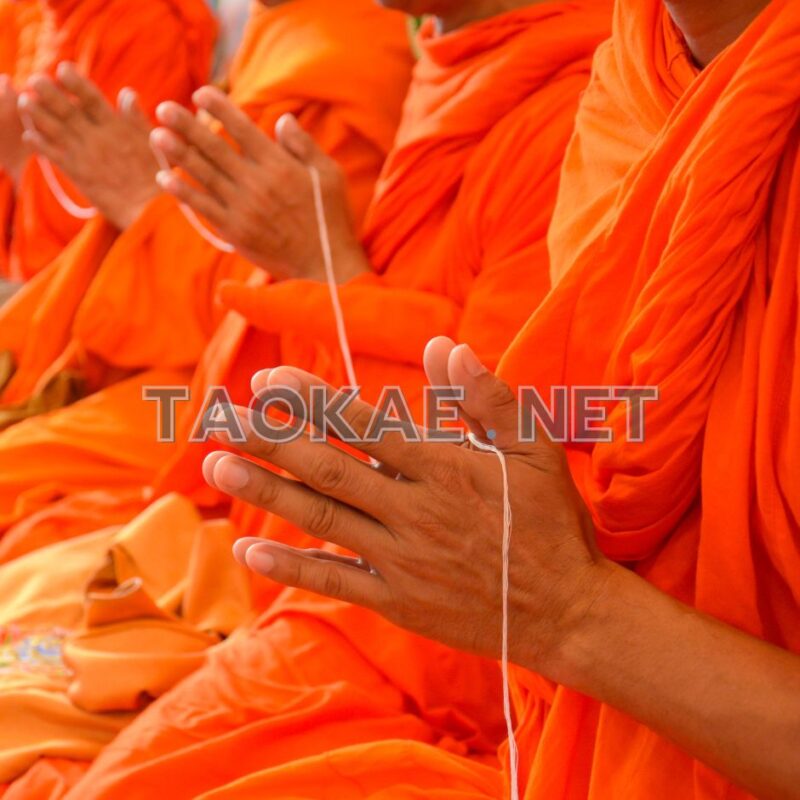 ด้ายสายสิญจน์-12