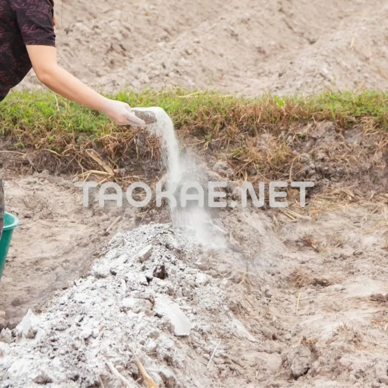 รีวิวปูนขาว 1