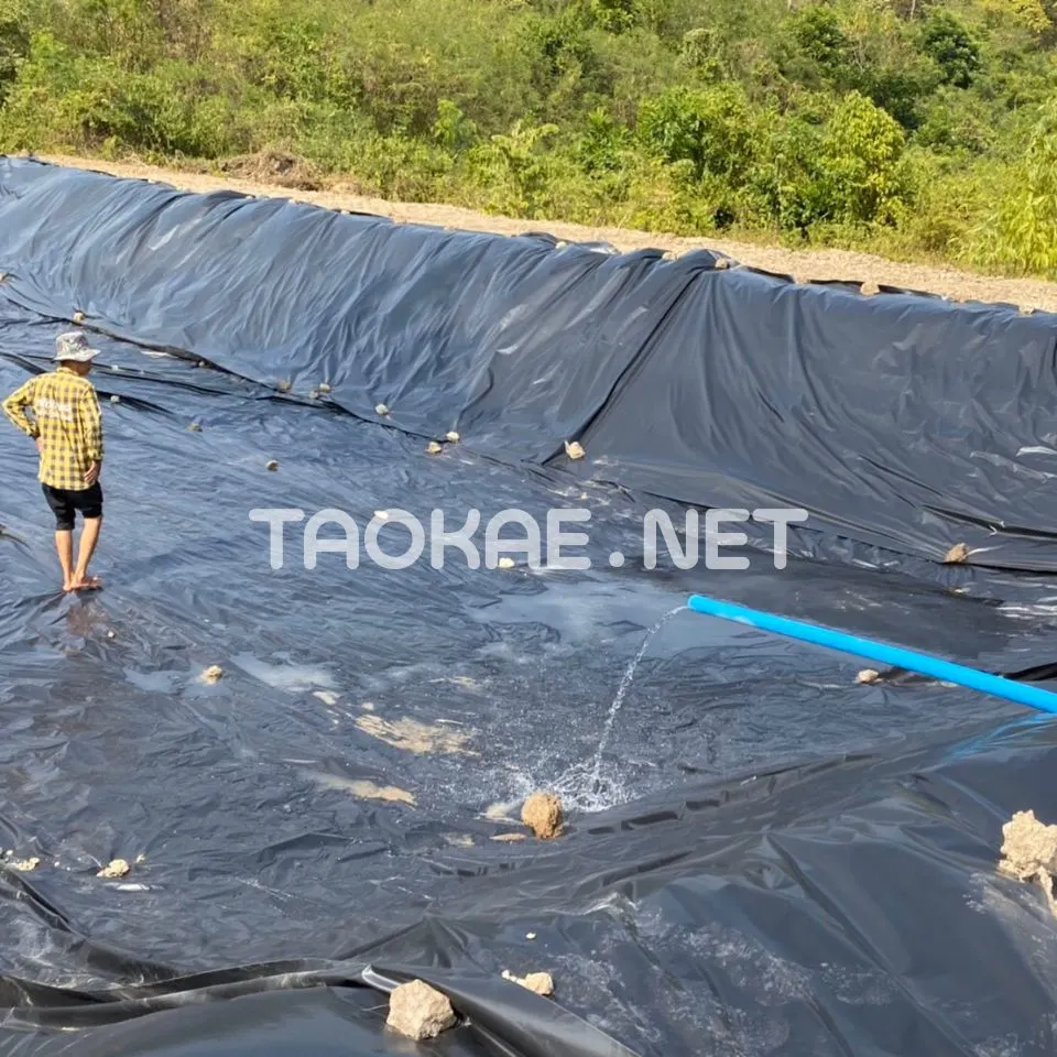 รีวิว พลาสติกปูบ่อ