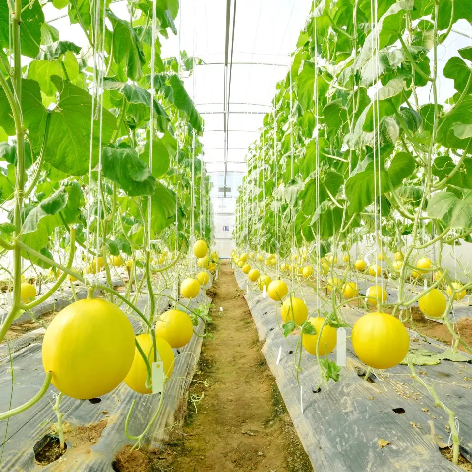 อุปกรณ์ทำสวน