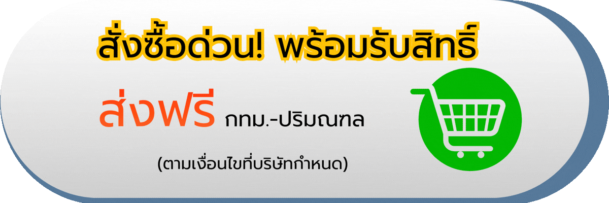 บันไดสไลด์
