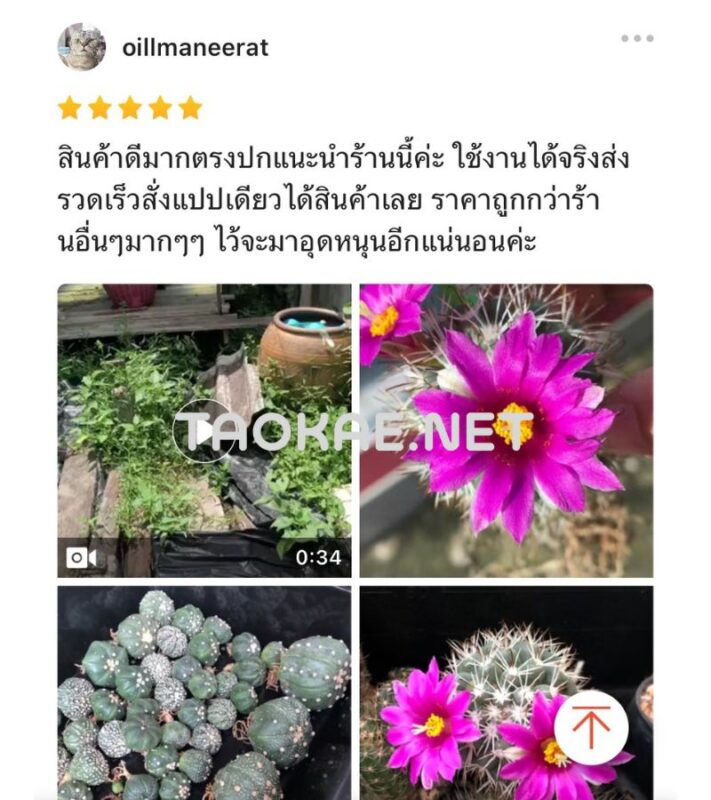 พลาสติกคลุมวัชพืช