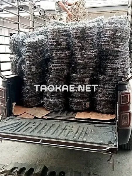 ม้วนลวดหนามบนรถกระบะจำนวนมาก