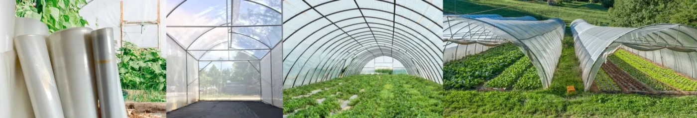 ภาพโรงเรือนเพาะปลูก