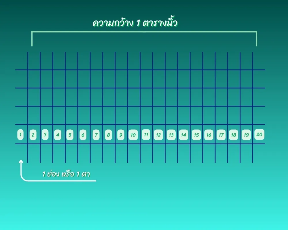 ทำความเข้าใจเกี่ยวกับขนาดตา 16 / 20