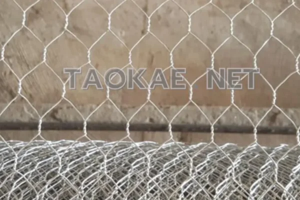 Hexagonal wire mesh
