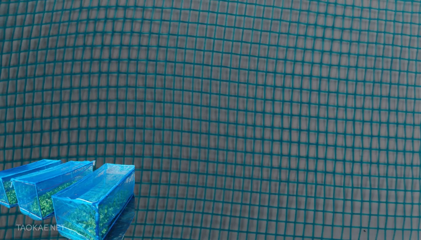 หน้าปก - มุ้งไนล่อนฟ้า ขนาด 16 ตา อันเก่า