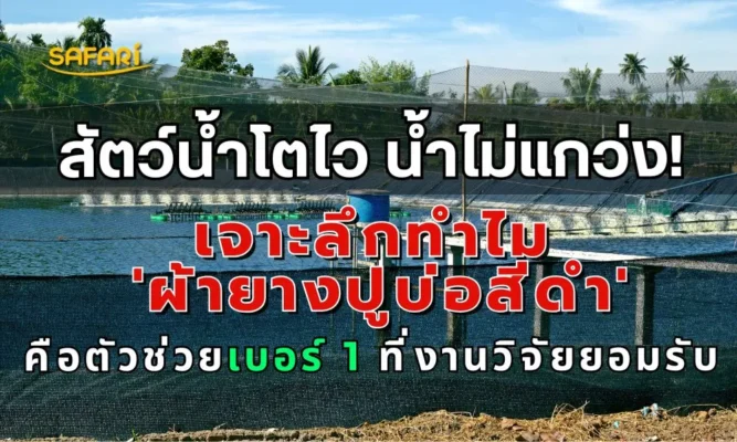 การควบคุมอุณหภูมิบ่อปลา