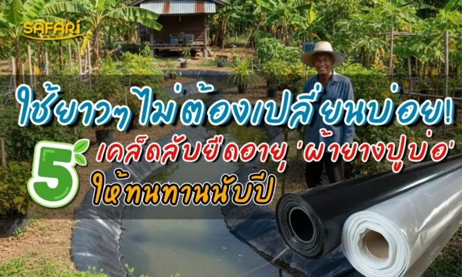 การดูแลผ้ายางปูบ่อ