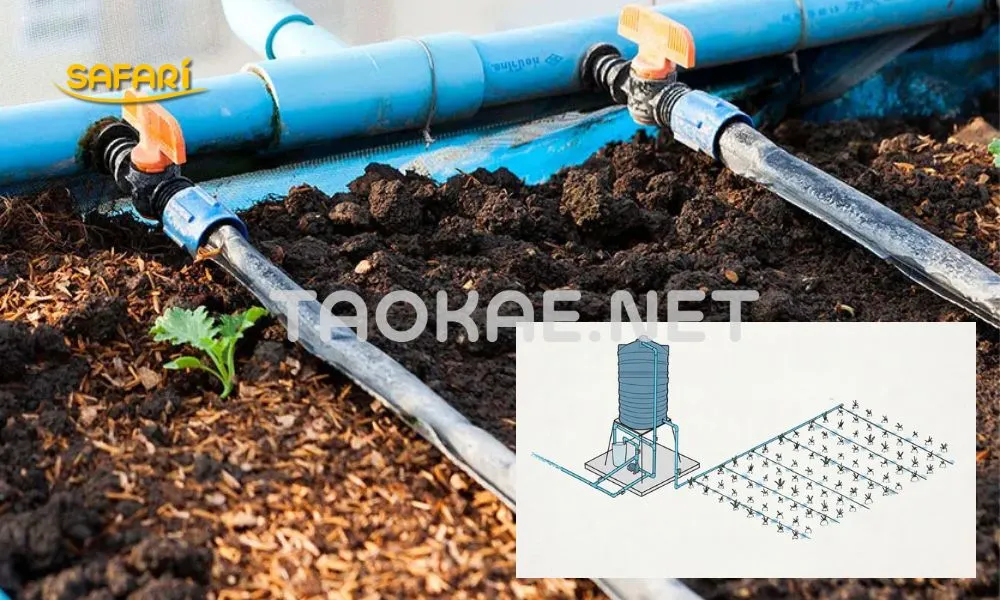 ติดตั้งระบบน้ำหยด