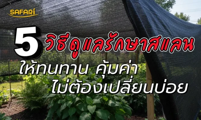 ดูแลรักษาสแลน