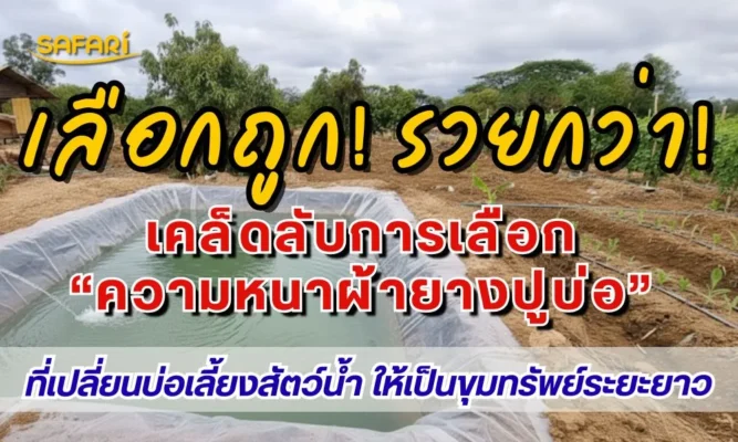 ผ้ายางปูบ่อ LDPE ตราซาฟารี