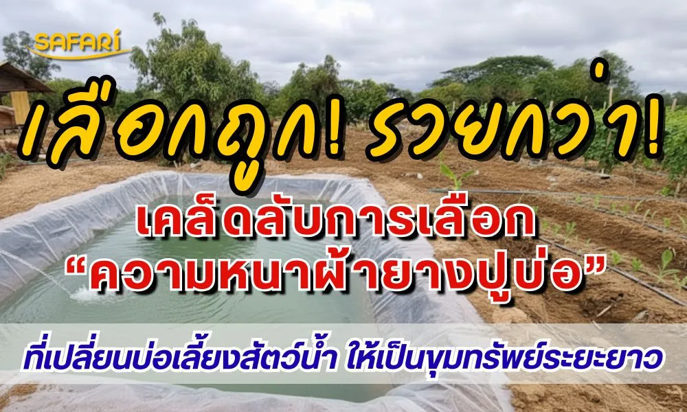 ผ้ายางปูบ่อ LDPE ตราซาฟารี