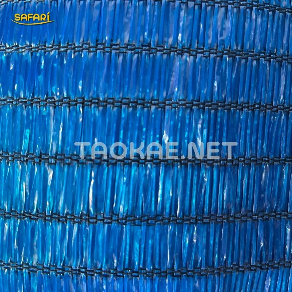 สแลนทอตรง-สีฟ้า