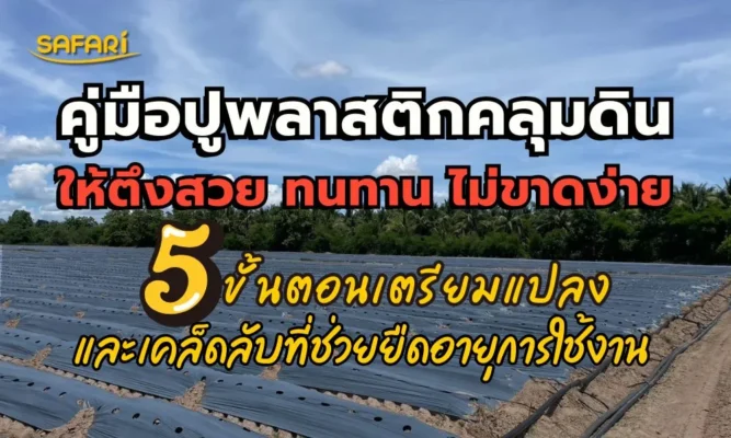 วิธีปูพลาสติกคลุมดิน