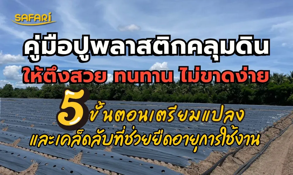 วิธีปูพลาสติกคลุมดิน