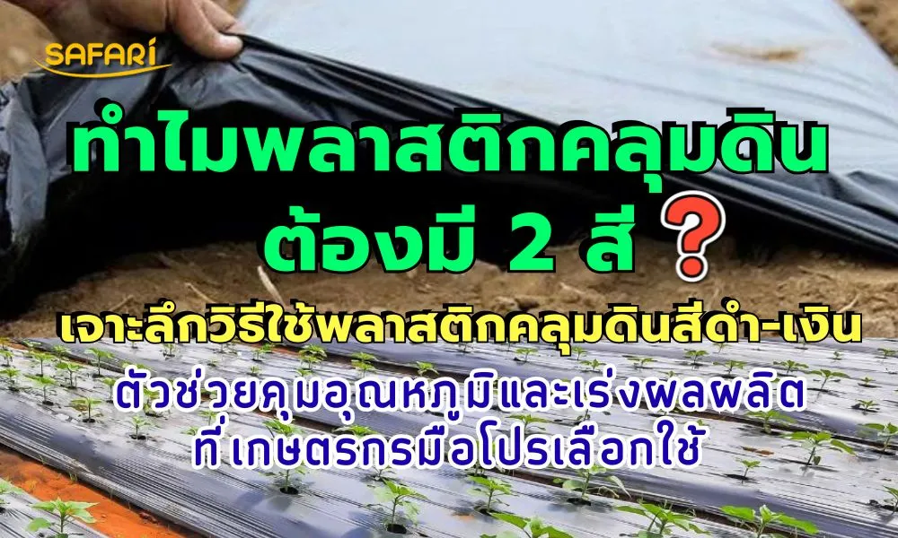 วิธีใช้พลาสติกคลุมดิน