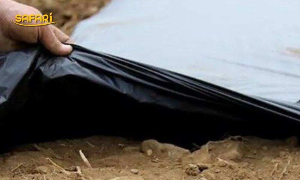 วิธีใช้พลาสติกคลุมดินสีดำ-เงิน