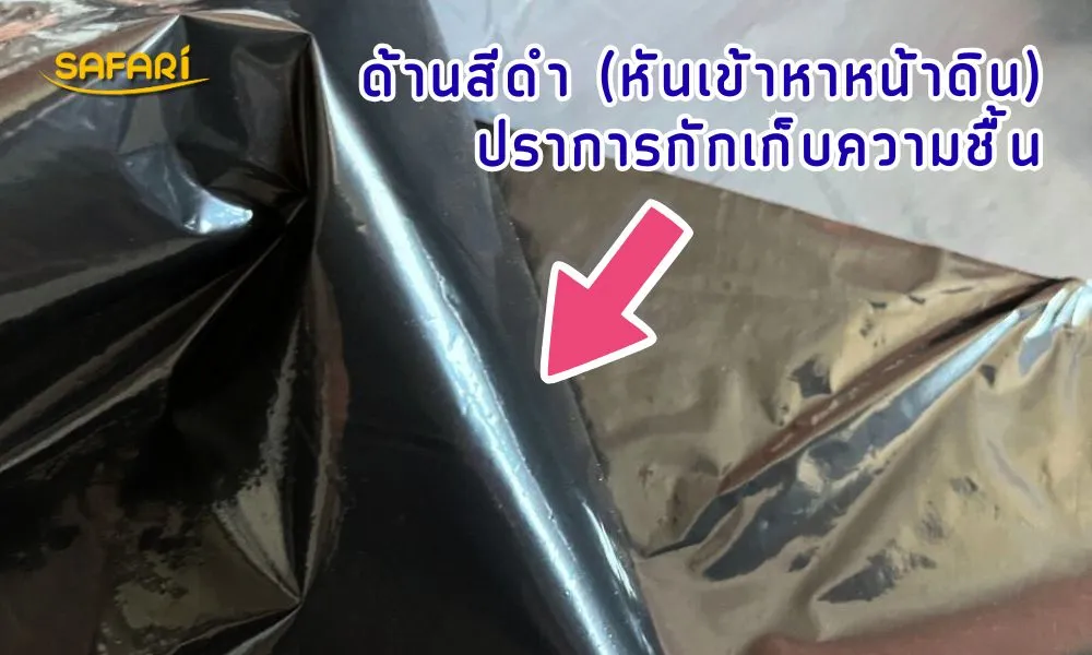 วิธีใช้พลาสติกคลุมดิน-ด้านสีดำ