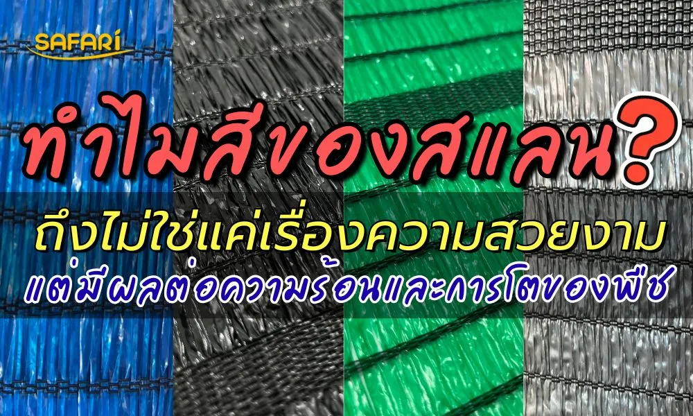 สีของสแลน