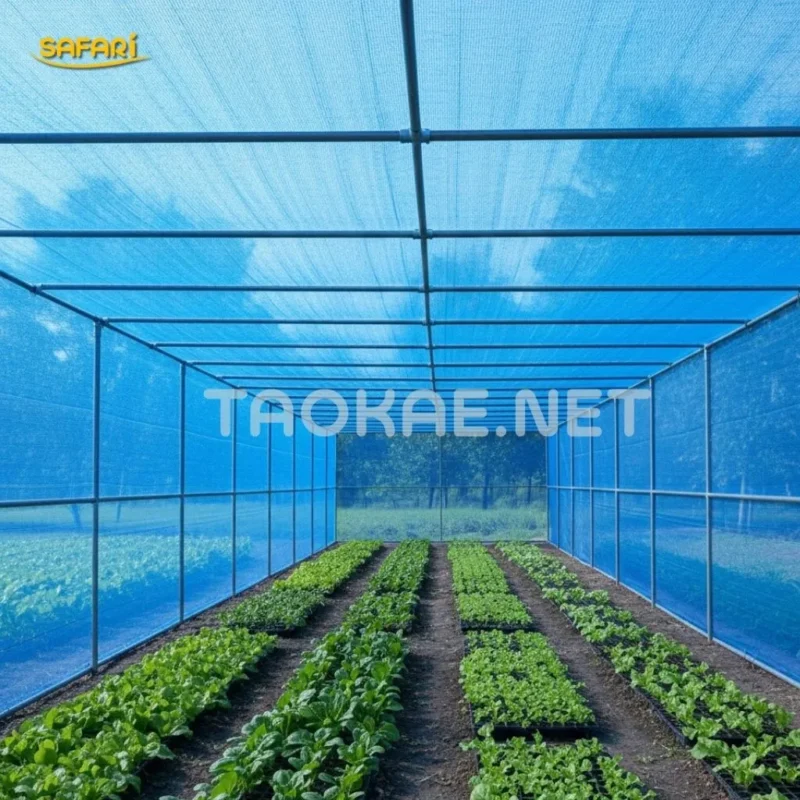 สแลนสีฟ้า – เสริมสร้างใบและรากในระยะแรก