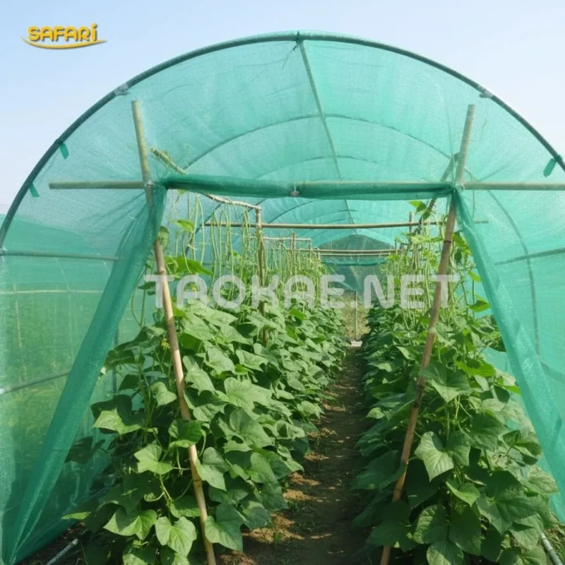 สแลนสีเขียว – เน้นต้นสูง ระบายอากาศโปร่ง