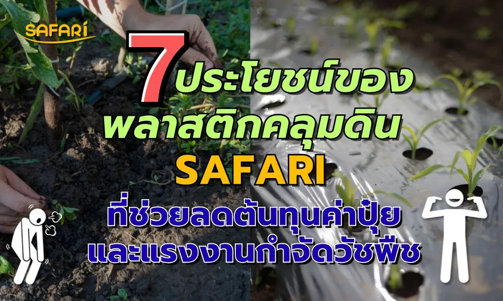 ประโยชน์พลาสติกคลุมดิน