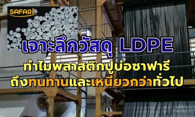 พลาสติกปูบ่อตราซาฟารี