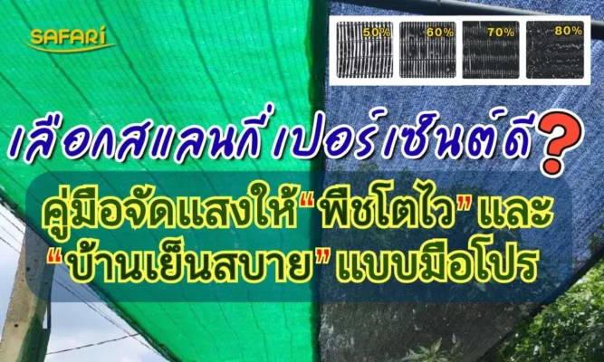 เลือกสแลนกี่เปอร์เซ็นต์ดี